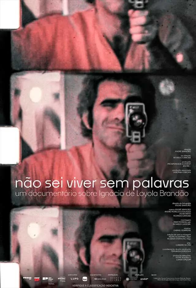 Pôster do filme Não Sei Viver Sem Palavras