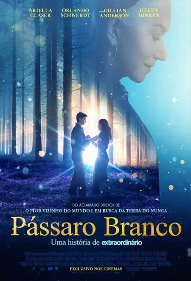 Pássaro Branco - Uma História De Extraordinário image