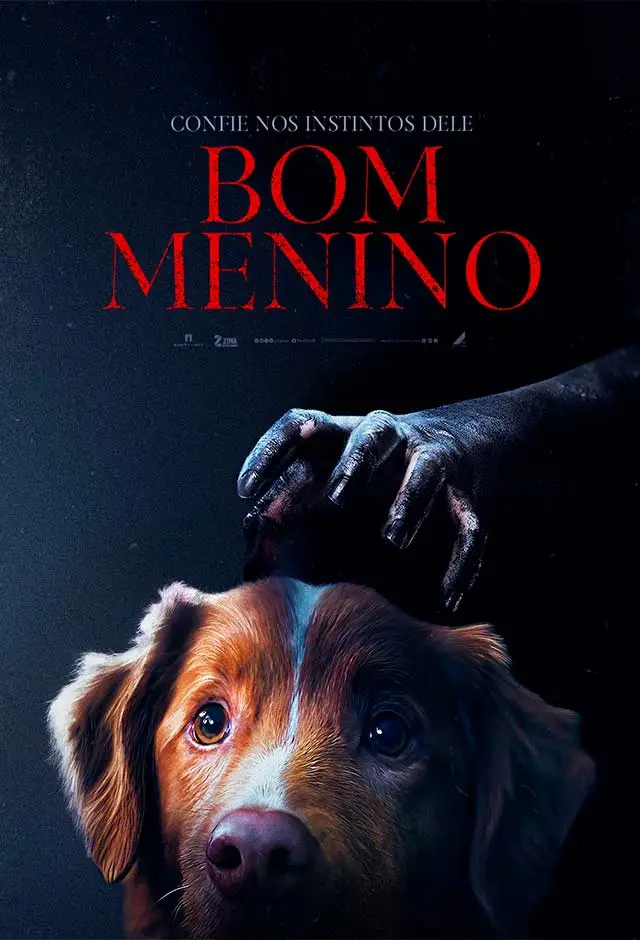 Bom Menino image