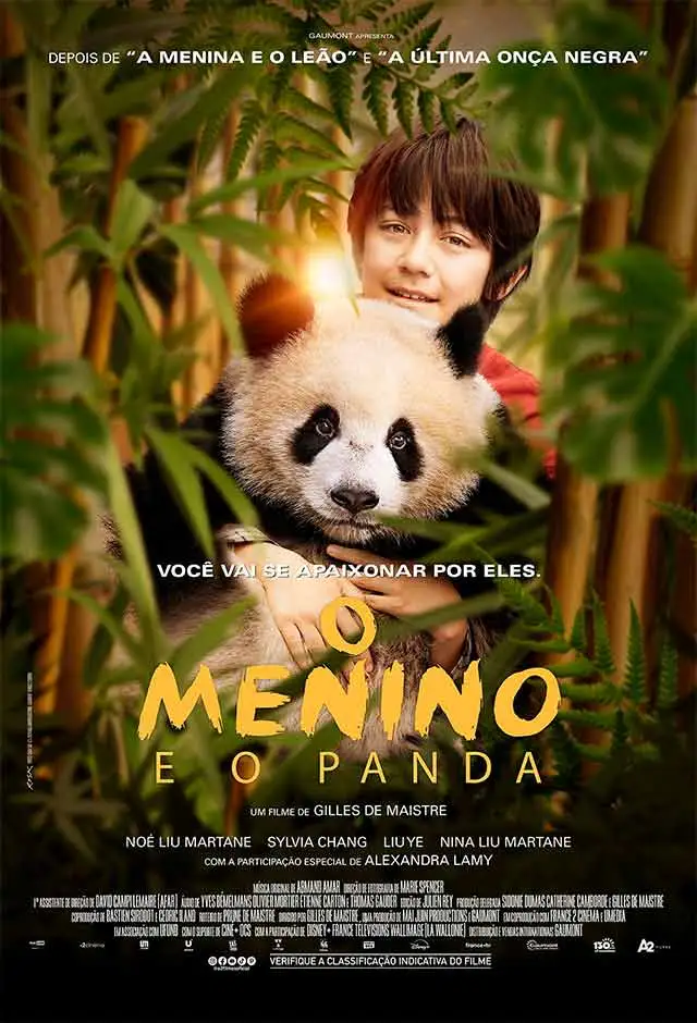 O Menino E O Panda image
